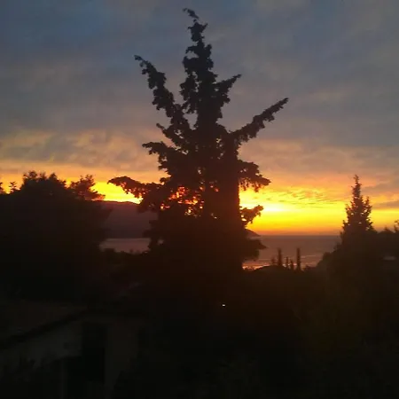 Sunce *