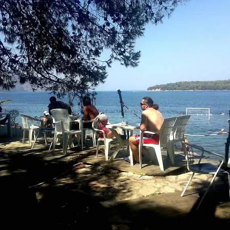 Sunce *