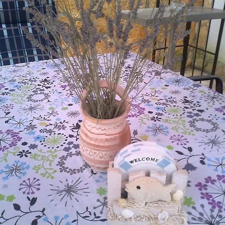 Apartment Sunce *