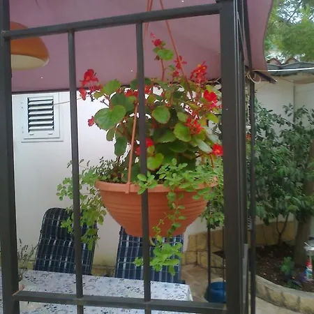 Sunce Apartment *